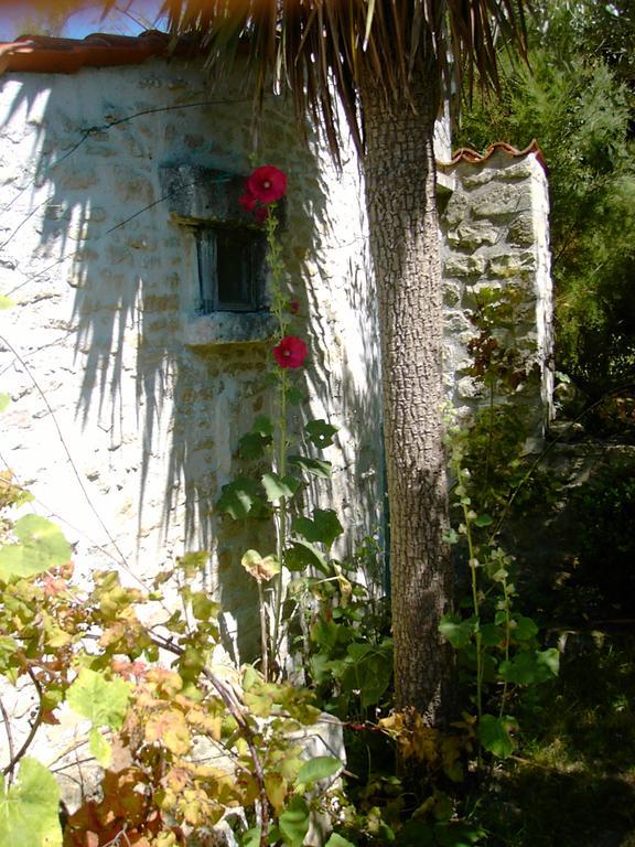Les Jardins Saint Leonard Hotel Thaire Luaran gambar